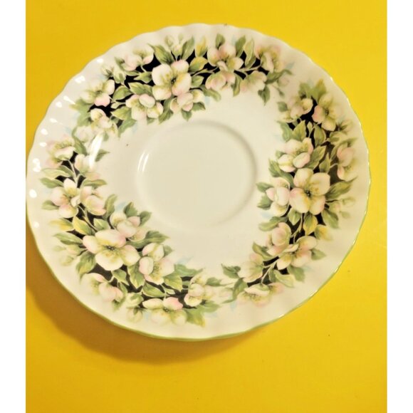 Vintage Royal Albert Tea Cup and Saucer Set, Fragrance Series, Orange Blossom - Picture 8 of 12